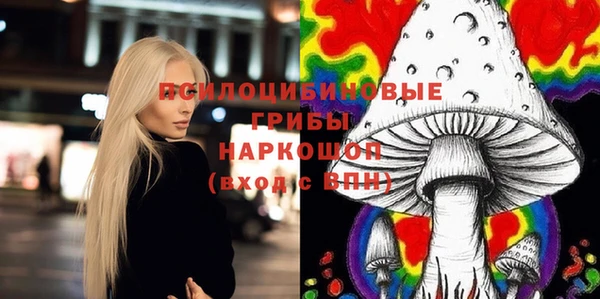 шишки Киреевск