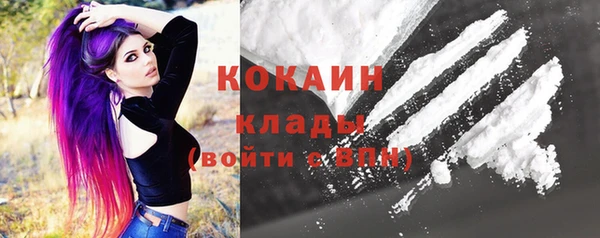 шишки Киреевск