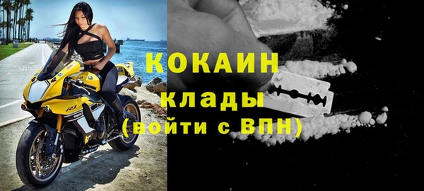шишки Киреевск