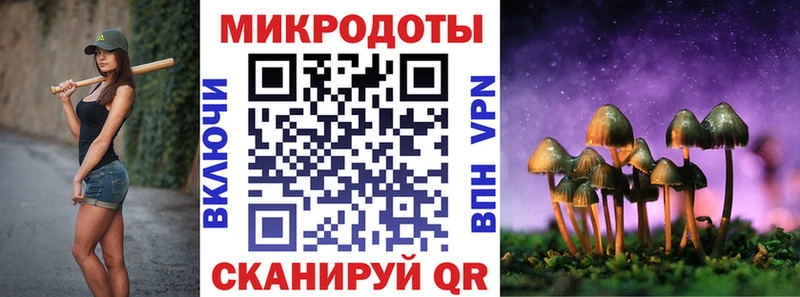 Галлюциногенные грибы Psilocybe  Купить где  Богданович 